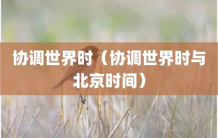 协调世界时（协调世界时与北京时间）