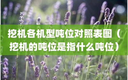 挖机各机型吨位对照表图（挖机的吨位是指什么吨位）