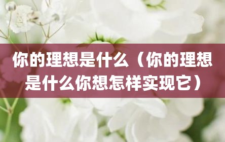 你的理想是什么（你的理想是什么你想怎样实现它）