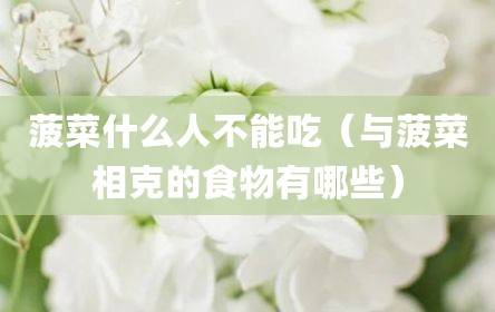 菠菜什么人不能吃（与菠菜相克的食物有哪些）