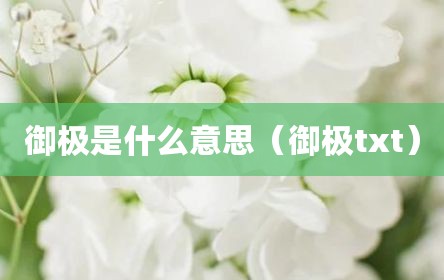 御极是什么意思（御极txt）