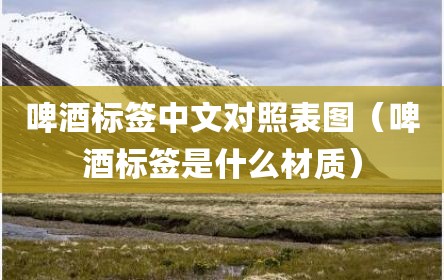 啤酒标签中文对照表图（啤酒标签是什么材质）
