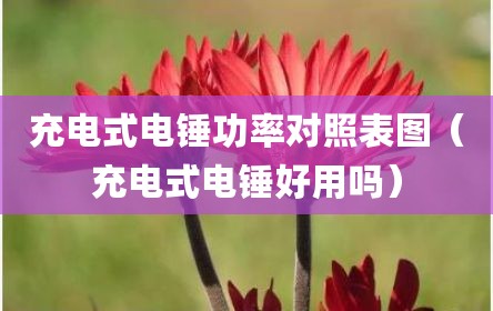 充电式电锤功率对照表图（充电式电锤好用吗）