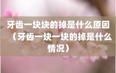 牙齿一块块的掉是什么原因（牙齿一块一块的掉是什么情况）