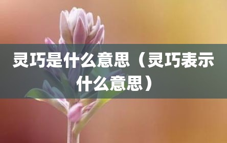 灵巧是什么意思（灵巧表示什么意思）
