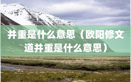 并重是什么意思（欧阳修文道并重是什么意思）