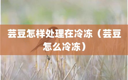 芸豆怎样处理在冷冻（芸豆怎么冷冻）