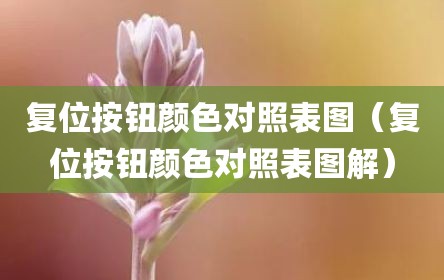 复位按钮颜色对照表图（复位按钮颜色对照表图解）