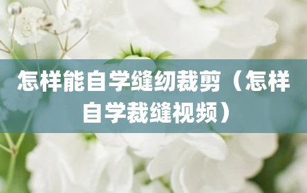 怎样能自学缝纫裁剪（怎样自学裁缝视频）