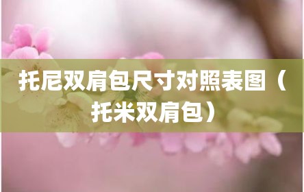 托尼双肩包尺寸对照表图（托米双肩包）