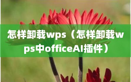 怎样卸载wps（怎样卸载wps中officeAI插件）