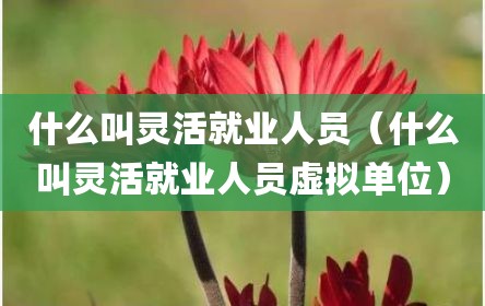 什么叫灵活就业人员（什么叫灵活就业人员虚拟单位）