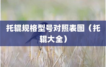 托辊规格型号对照表图（托辊大全）