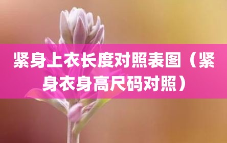 紧身上衣长度对照表图（紧身衣身高尺码对照）