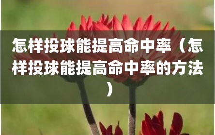 怎样投球能提高命中率（怎样投球能提高命中率的方法）