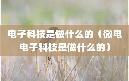 电子科技是做什么的（微电电子科技是做什么的）