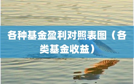 各种基金盈利对照表图（各类基金收益）