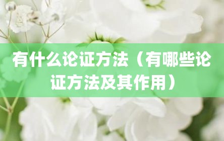 有什么论证方法（有哪些论证方法及其作用）