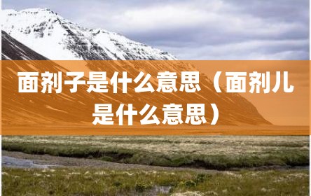 面剂子是什么意思（面剂儿是什么意思）
