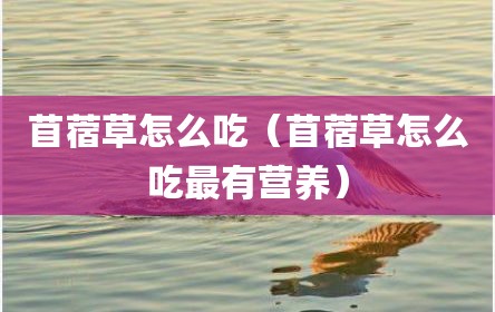 苜蓿草怎么吃（苜蓿草怎么吃最有营养）