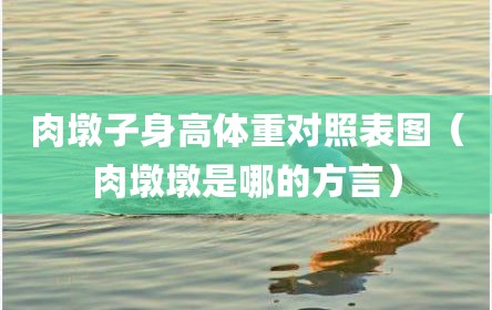 肉墩子身高体重对照表图（肉墩墩是哪的方言）