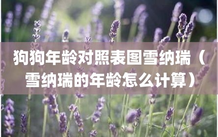 狗狗年龄对照表图雪纳瑞（雪纳瑞的年龄怎么计算）
