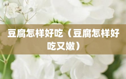 豆腐怎样好吃（豆腐怎样好吃又嫩）