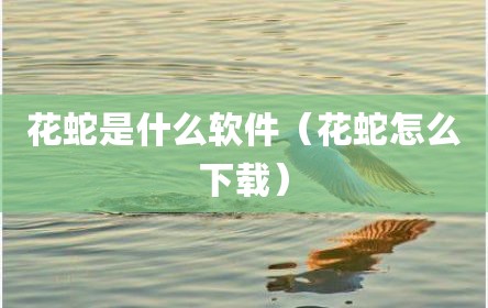 花蛇是什么软件（花蛇怎么下载）