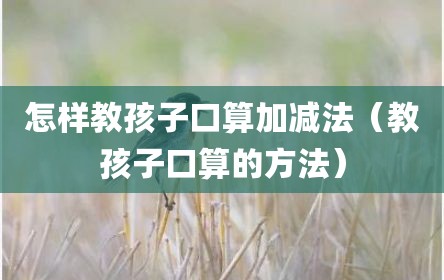 怎样教孩子口算加减法（教孩子口算的方法）