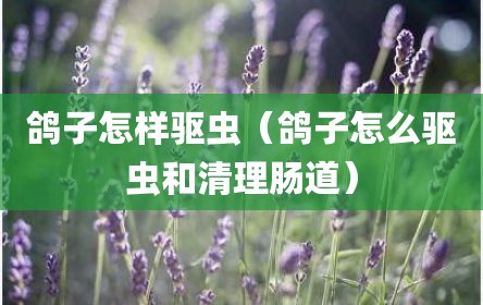 鸽子怎样驱虫（鸽子怎么驱虫和清理肠道）