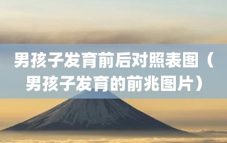 男孩子发育前后对照表图（男孩子发育的前兆图片）