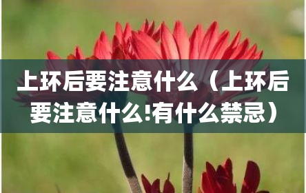 上环后要注意什么（上环后要注意什么!有什么禁忌）