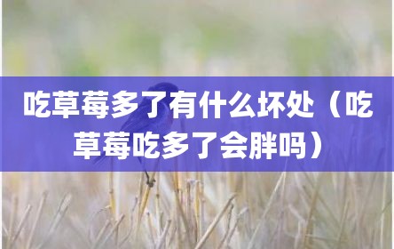 吃草莓多了有什么坏处（吃草莓吃多了会胖吗）