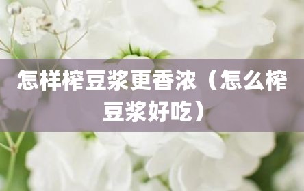 怎样榨豆浆更香浓（怎么榨豆浆好吃）