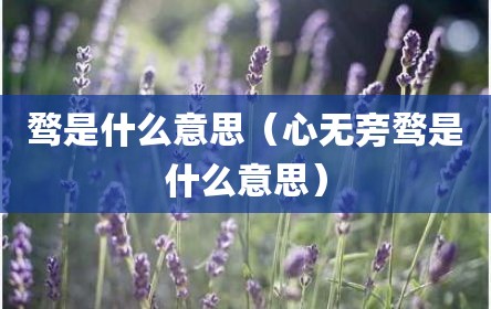 骛是什么意思（心无旁骛是什么意思）