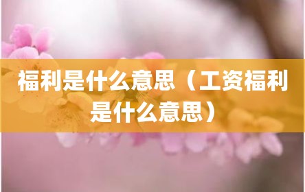 福利是什么意思（工资福利是什么意思）