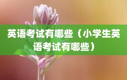 英语考试有哪些（小学生英语考试有哪些）