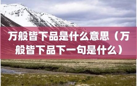 万般皆下品是什么意思（万般皆下品下一句是什么）