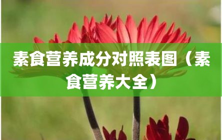 素食营养成分对照表图（素食营养大全）