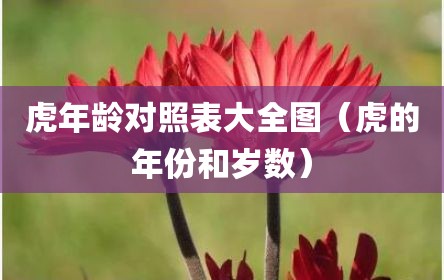 虎年龄对照表大全图（虎的年份和岁数）