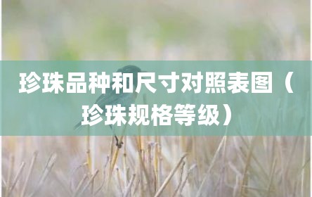 珍珠品种和尺寸对照表图（珍珠规格等级）
