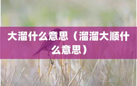 大溜什么意思（溜溜大顺什么意思）