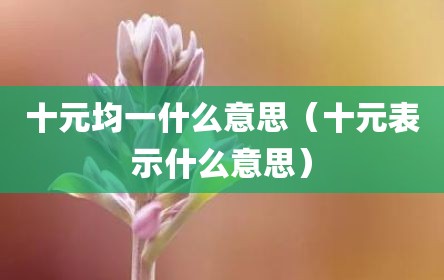 十元均一什么意思（十元表示什么意思）