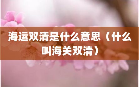 海运双清是什么意思（什么叫海关双清）