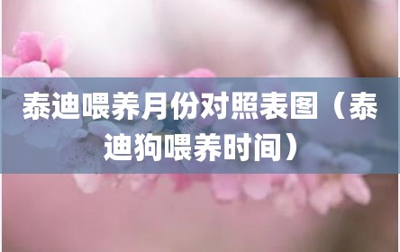 泰迪喂养月份对照表图（泰迪狗喂养时间）