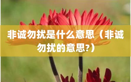 非诚勿扰是什么意思（非诚勿扰的意思?）