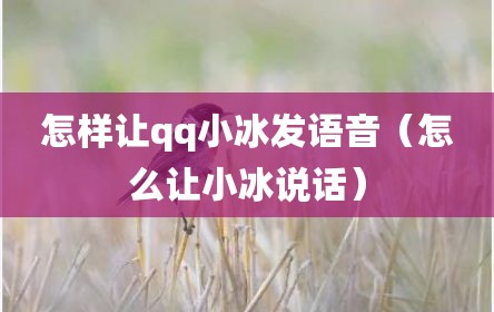 怎样让qq小冰发语音（怎么让小冰说话）