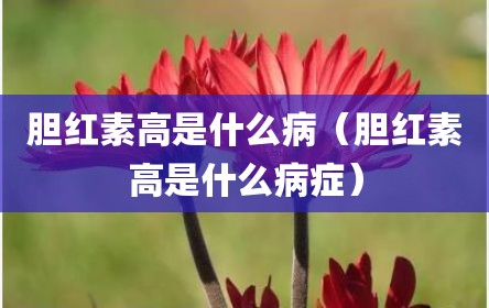 胆红素高是什么病（胆红素高是什么病症）