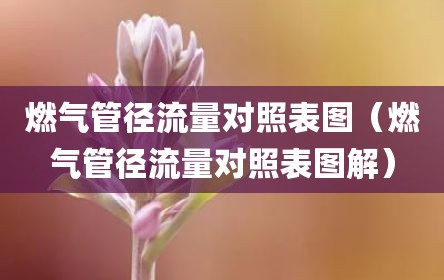 燃气管径流量对照表图（燃气管径流量对照表图解）