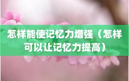怎样能使记忆力增强（怎样可以让记忆力提高）